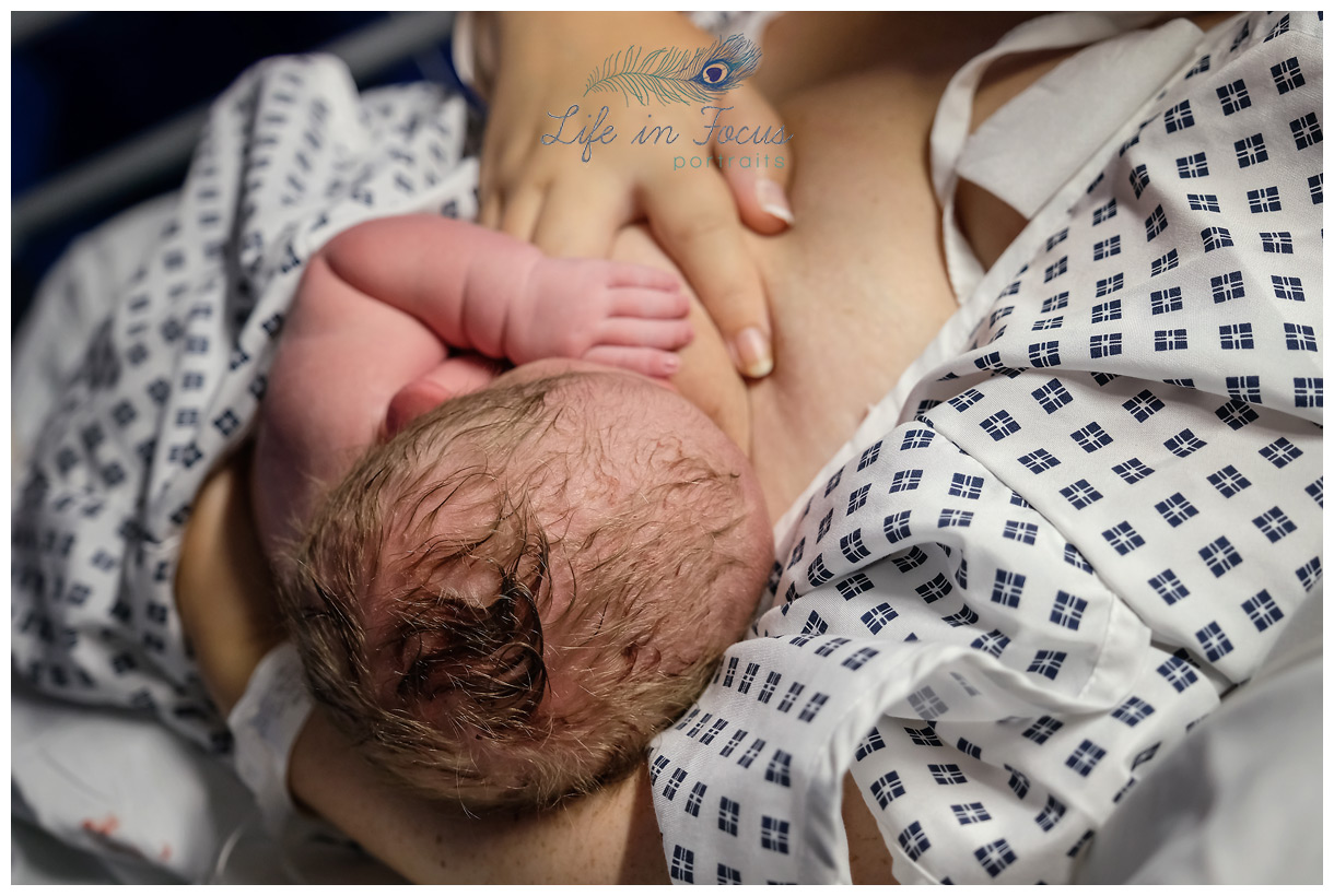 new baby put to breast Life in Focus Portraits birth photographer Vale of Leven Birth Centre