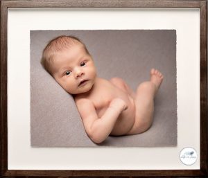 newborn baby boy looking at photographer Life in Focus Portraits newborn baby photography Rhu Helensburgh Cardross